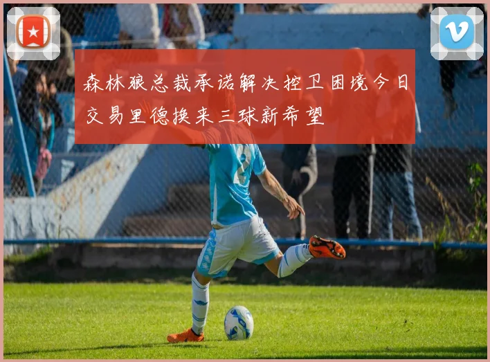 森林狼总裁承诺解决控卫困境今日交易里德换来三球新希望