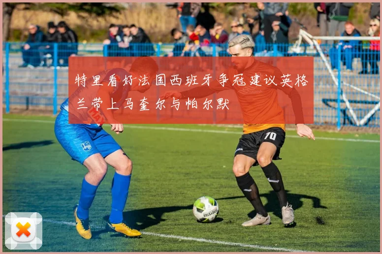 特里看好法国西班牙争冠建议英格兰带上马奎尔与帕尔默