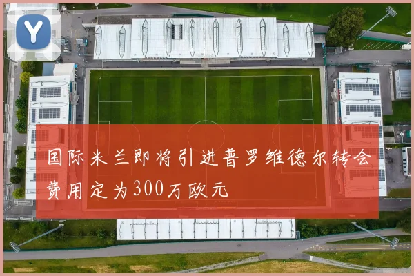 国际米兰即将引进普罗维德尔转会费用定为300万欧元